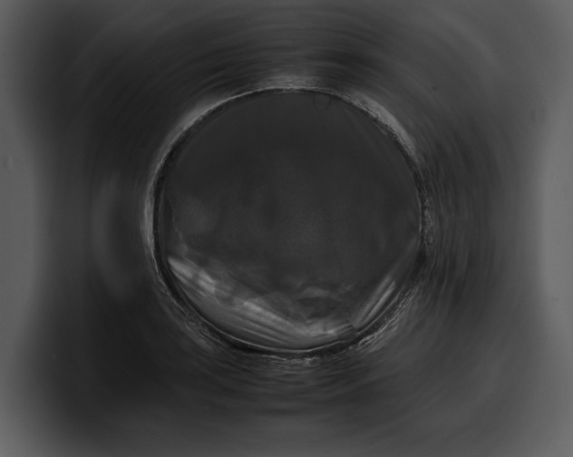 X0000100311035200806190938
