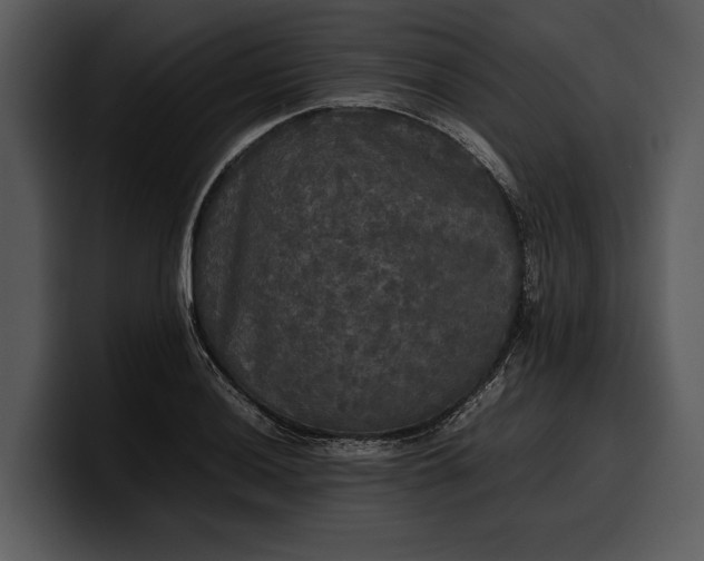 X0000100311036200806190938