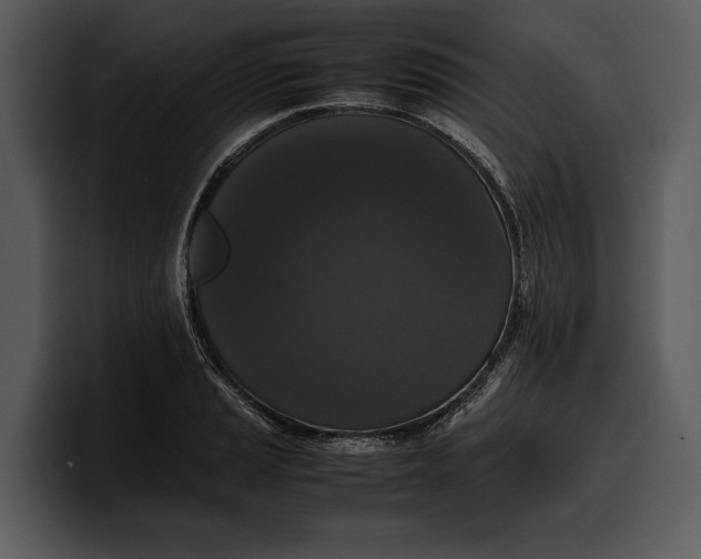 X0000100311037200806190938