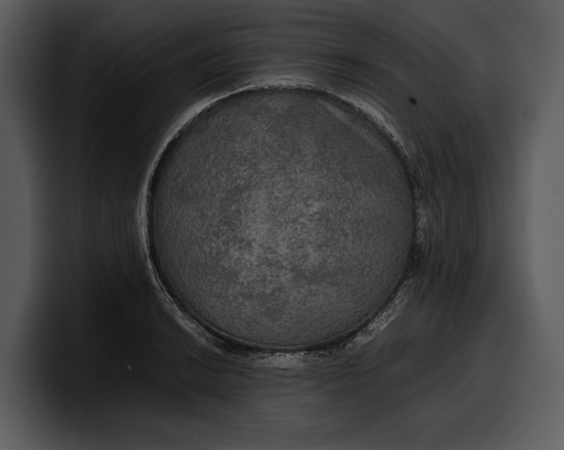 X0000100311038200806190938