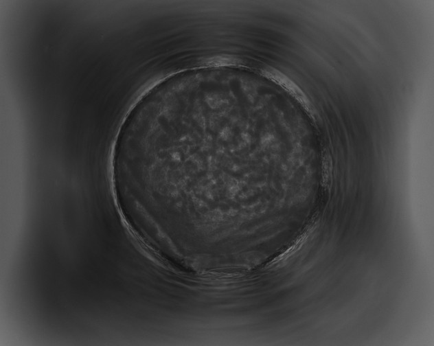 X0000100311039200806190938