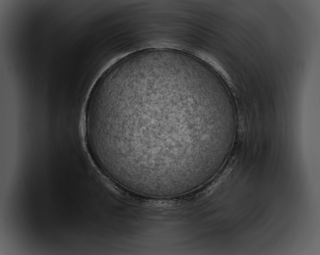 X0000100311040200806190938