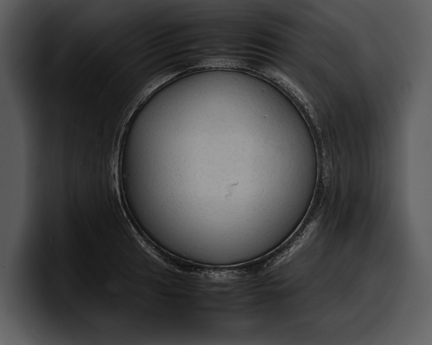 X0000100311041200806190938