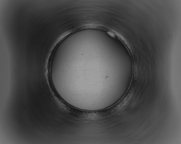 X0000100311042200806190938