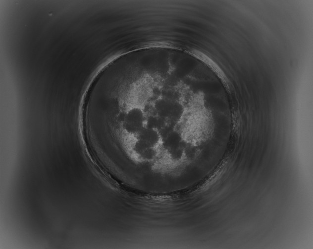 X0000100311043200806190938