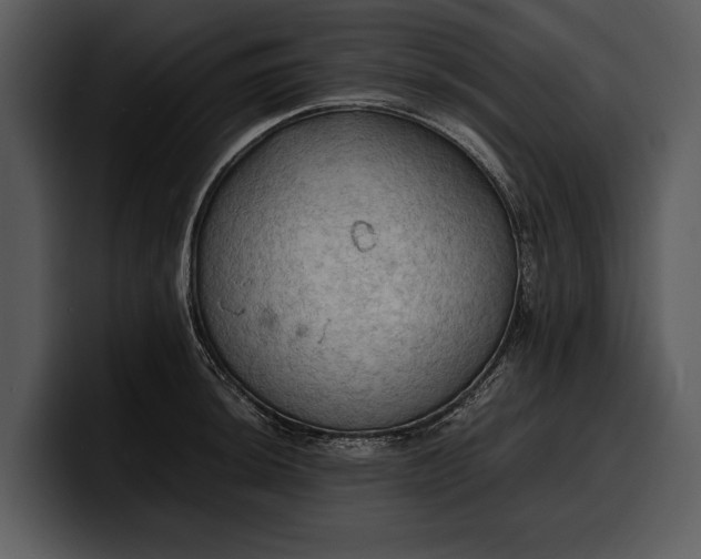 X0000100311044200806190938