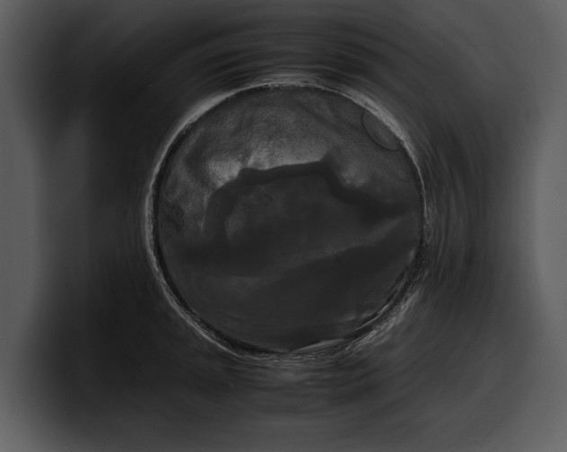 X0000100311045200806190938