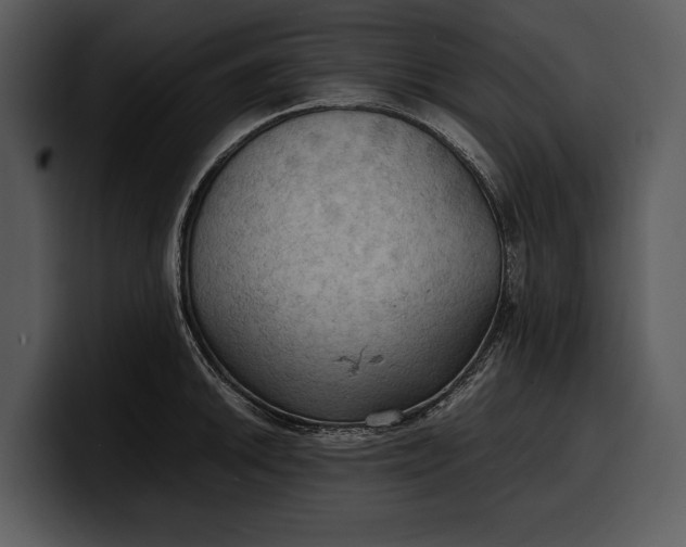 X0000100311046200806190938
