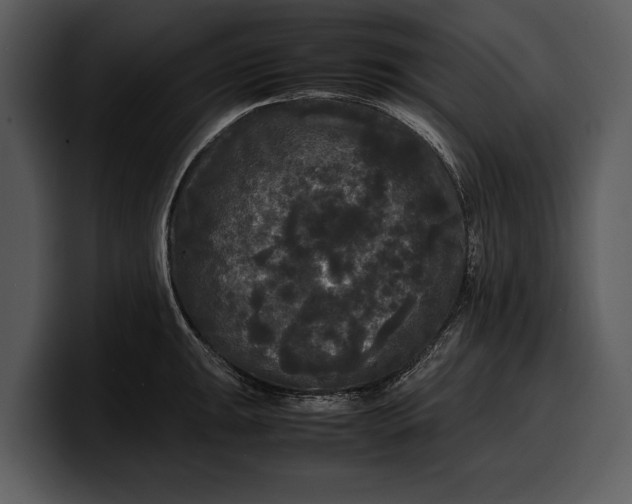 X0000100311047200806190938