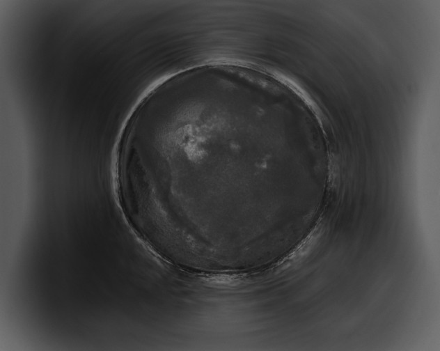 X0000100311048200806190938