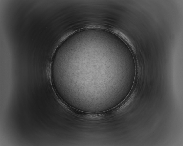 X0000100311049200806190938
