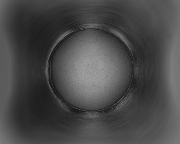 X0000100311050200806190938