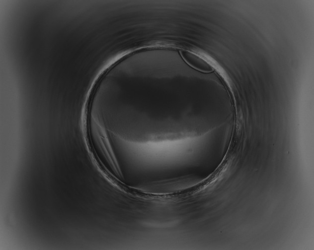 X0000100311053200806190938