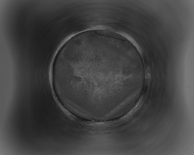 X0000100311054200806190938