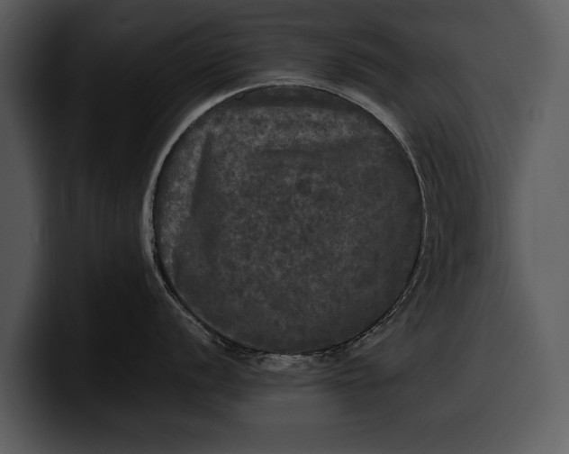 X0000100311056200806190938