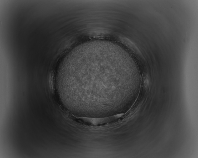 X0000100311060200806190938