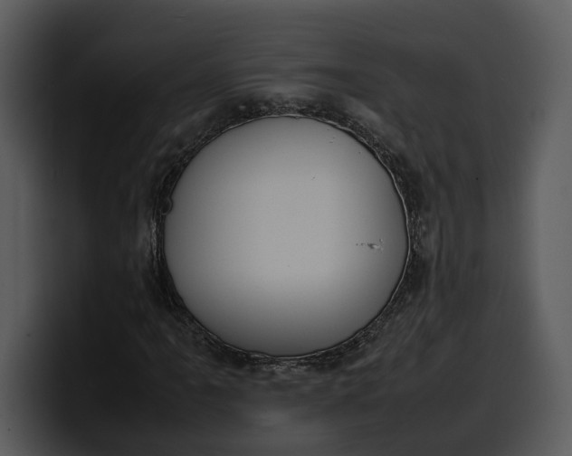 X0000100311061200806190938