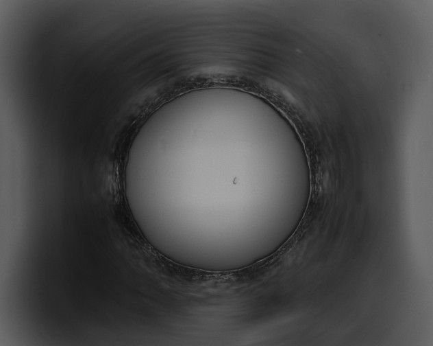 X0000100311062200806190938