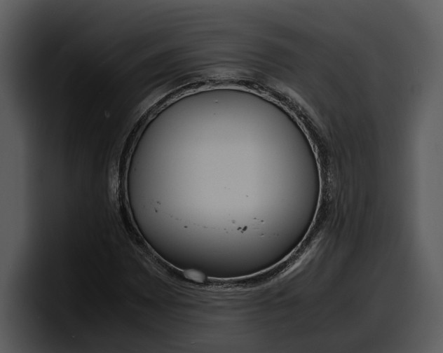 X0000100311065200806190938