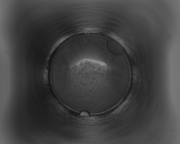 X0000100311066200806190938