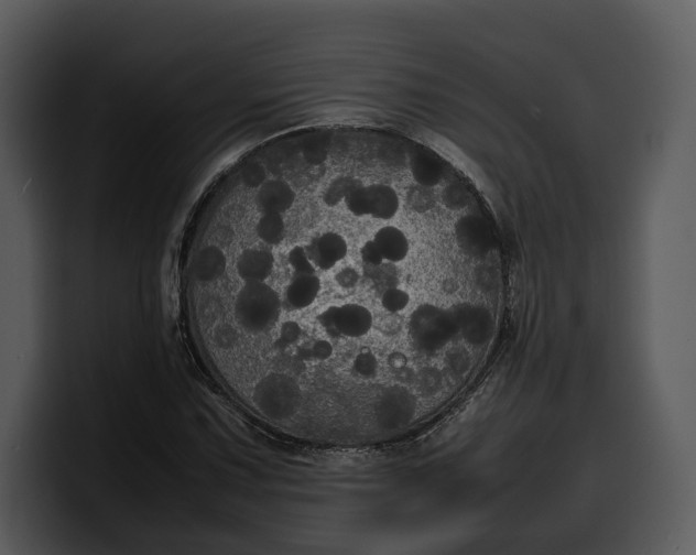X0000100311067200806190938