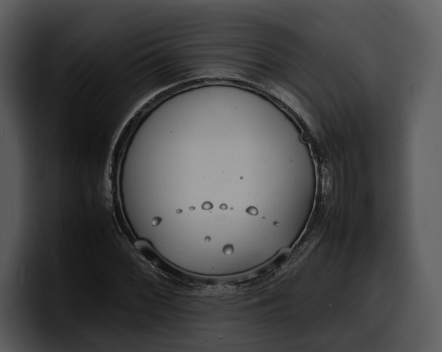 X0000100311068200806190938