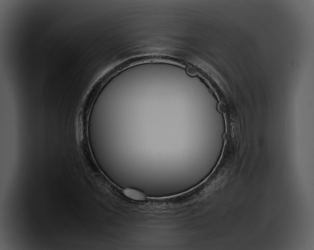 X0000100311069200806190938