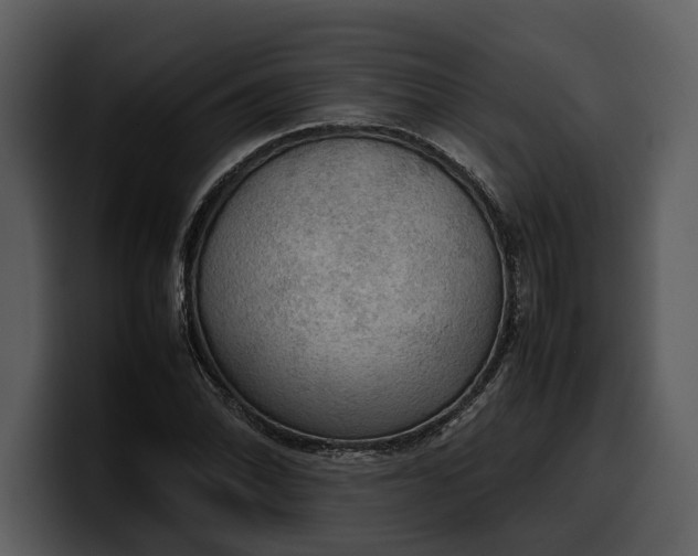 X0000100311070200806190938