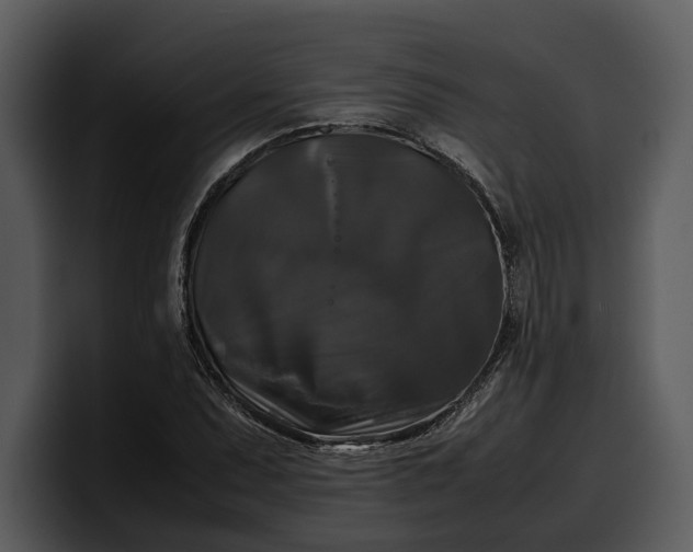 X0000100311071200806190938