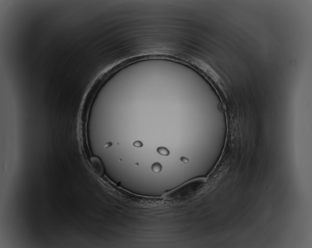 X0000100311072200806190938