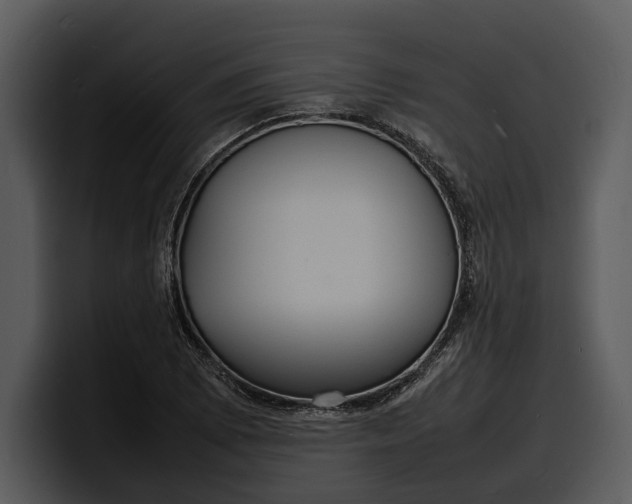 X0000100311073200806190938