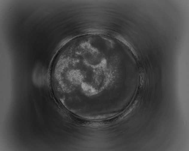 X0000100311074200806190937