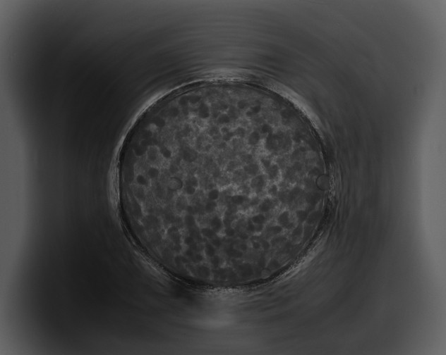 X0000100311075200806190937