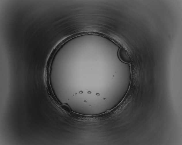 X0000100311076200806190937