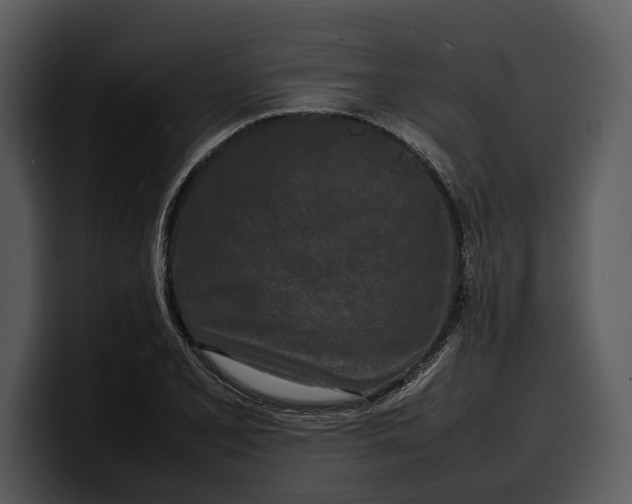 X0000100311077200806190937
