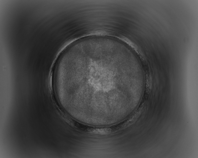 X0000100311078200806190937