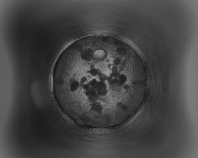 X0000100311079200806190937