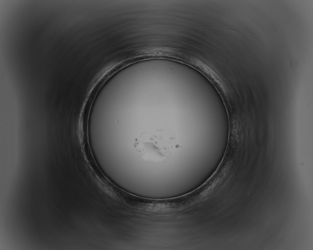 X0000100311082200806190937