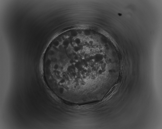 X0000100311083200806190937