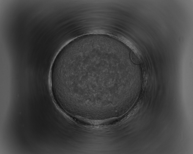 X0000100311084200806190937
