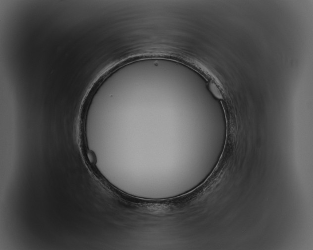 X0000100311085200806190937