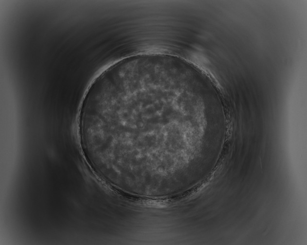 X0000100311086200806190937