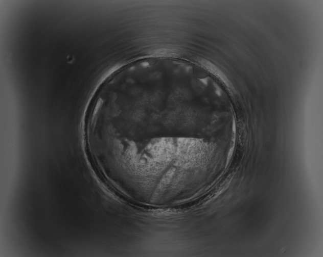 X0000100311087200806190937