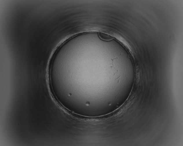 X0000100311088200806190937