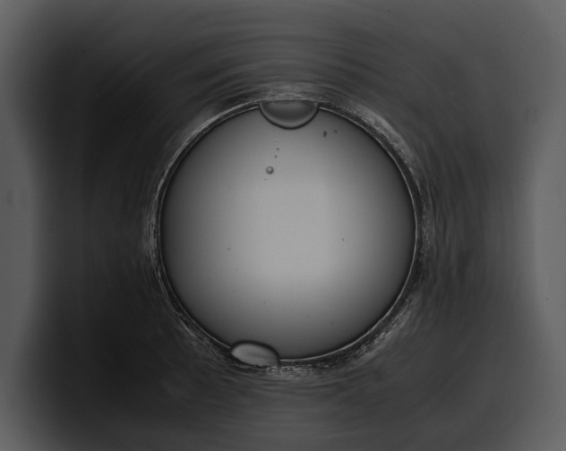 X0000100311089200806190937