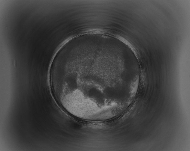 X0000100311090200806190937