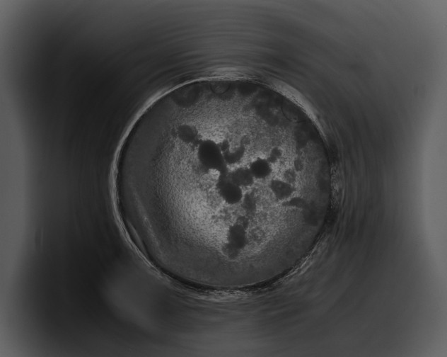 X0000100311091200806190937