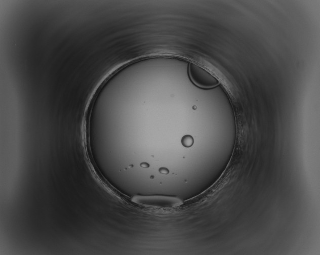 X0000100311092200806190937