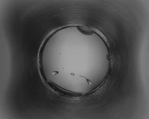 X0000100311096200806190937