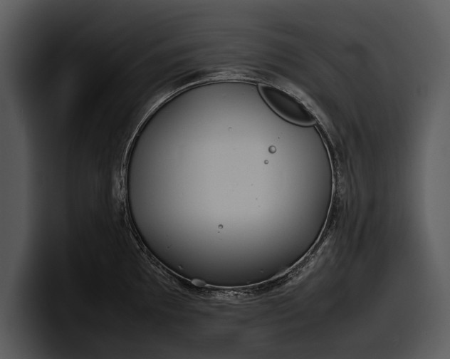 X0000100311097200806190937